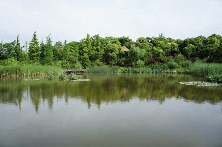 齐齐哈尔水师森林图片