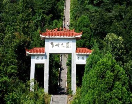 阳明山国家森林公园