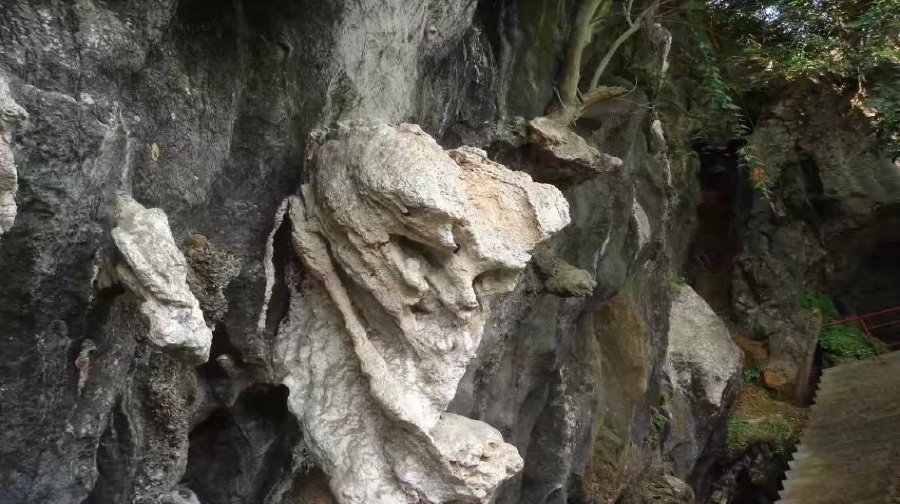 鳞隐石林
