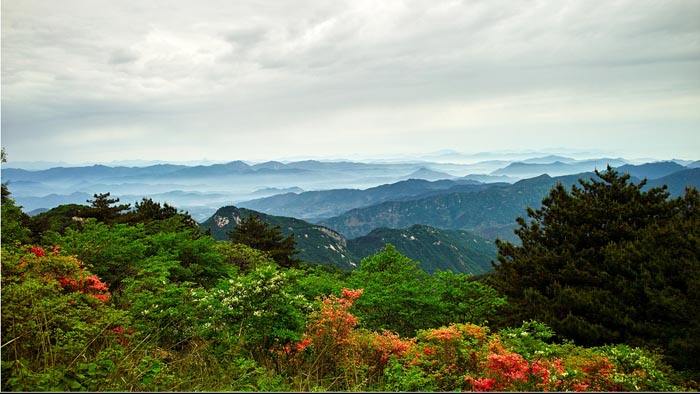 黃岡龜峰山門票價格是多少?-黃河票務網