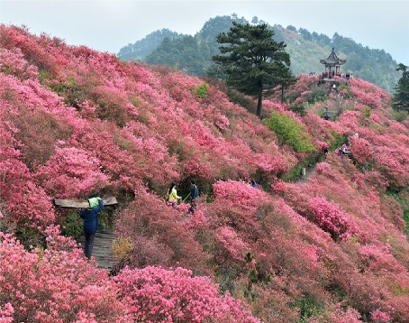 龟峰山