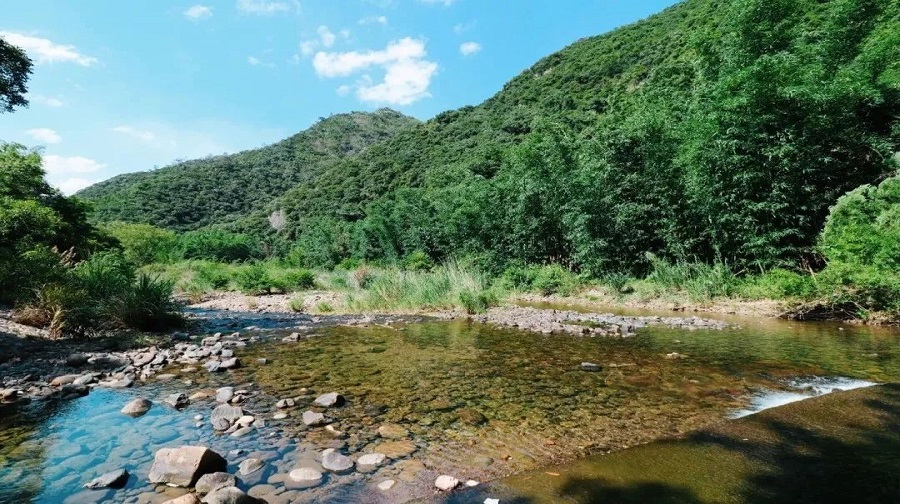 福州永泰鸟语林