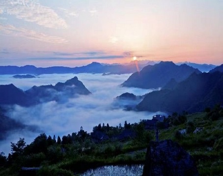 平利芍药谷景区