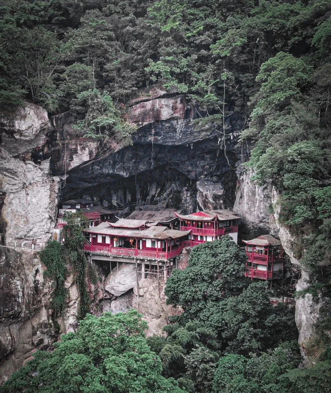 福州永泰鸟语林