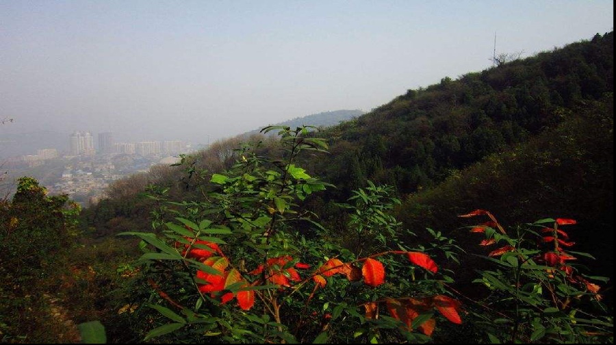 黄荆山风景区