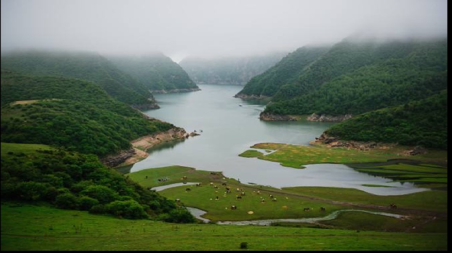 冶海