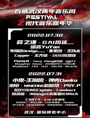 2022武汉Z视代音乐嘉年华