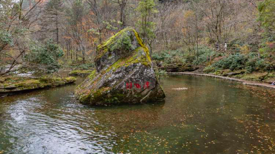黎坪森林公园