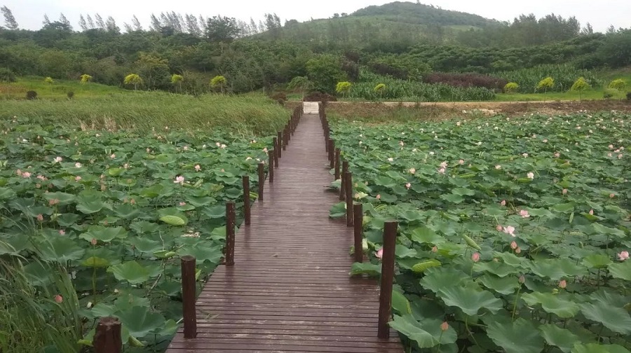 野香谷旅游区