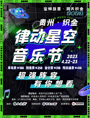 2023毕节律动星空音乐节