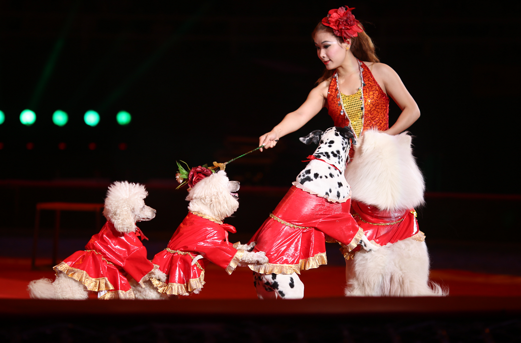 2023快乐童年·超级马戏-国际马戏小丑六一嘉年华-北京站