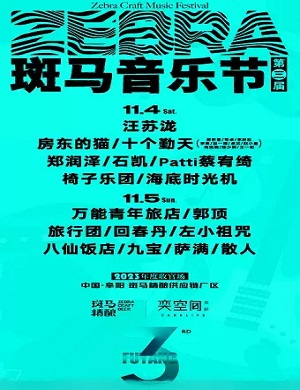 2023阜阳斑马音乐节