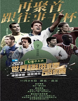 2023武汉世界超级球星足球赛