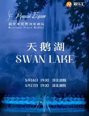 2024芭蕾舞天鹅湖武汉站
