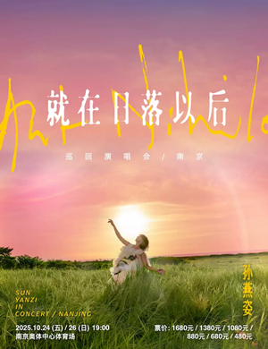 2025孙燕姿南京演唱会