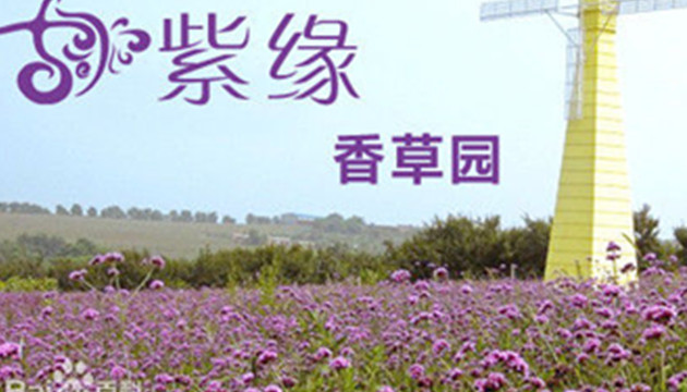 紫缘香草园