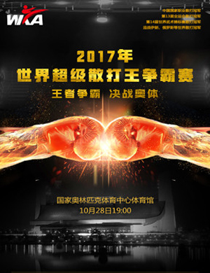 世界超级散打王北京争霸赛