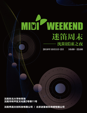 沈阳摇滚之夜迷笛音乐节
