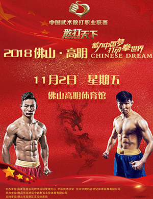 中国武术散打佛山联赛