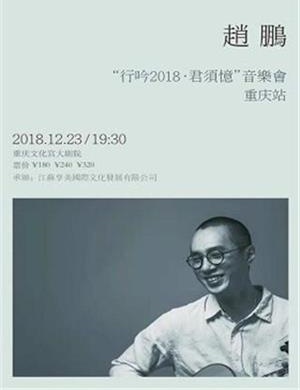 2018赵鹏重庆演唱会
