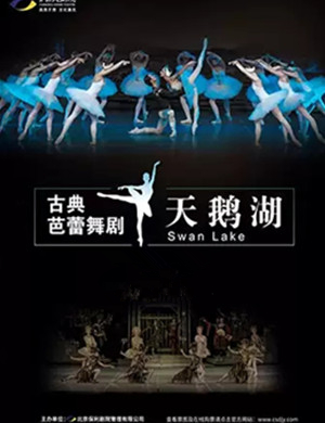 2019芭蕾舞剧天鹅湖沈阳站
