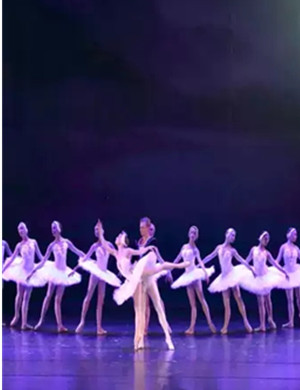 2019芭蕾舞剧天鹅湖厦门站