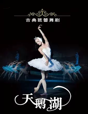 2019芭蕾舞剧天鹅湖滨州站