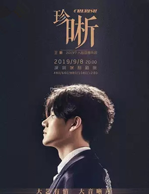 王晰深圳演唱会