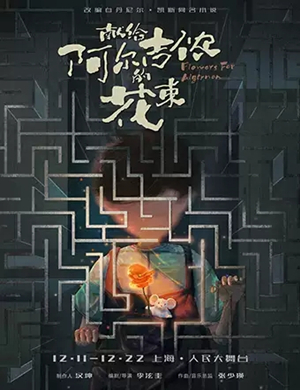 献给阿尔吉侬的花束上海站
