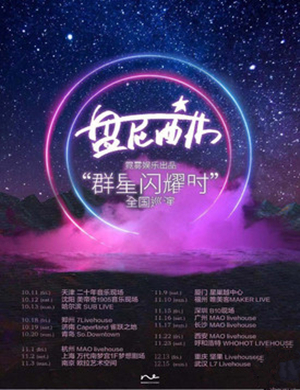 2019盘尼西林乐队南京演唱会