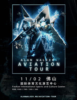 Alan Walker佛山演唱会