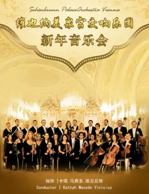 2020维也纳美泉宫交响乐团长沙音乐会