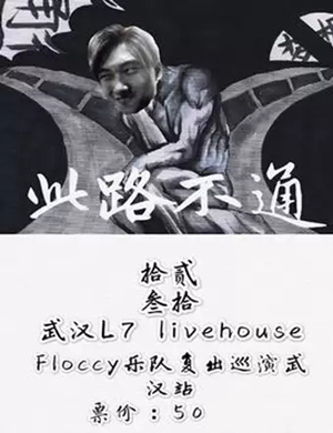 Floccy乐队武汉演唱会