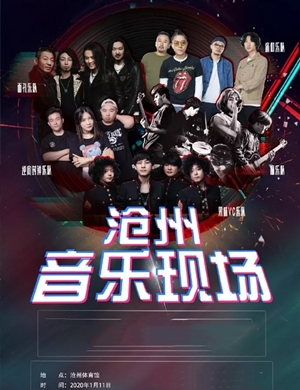 2020沧州音乐现场音乐节