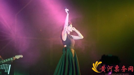 2017林忆莲西安演唱会