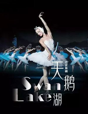 2019衡水保利大剧院天鹅湖演出信息详情介绍