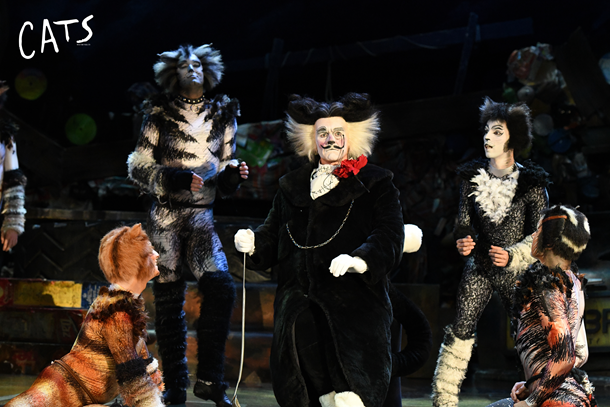 2022世界经典原版音乐剧《猫》CATS-西安站