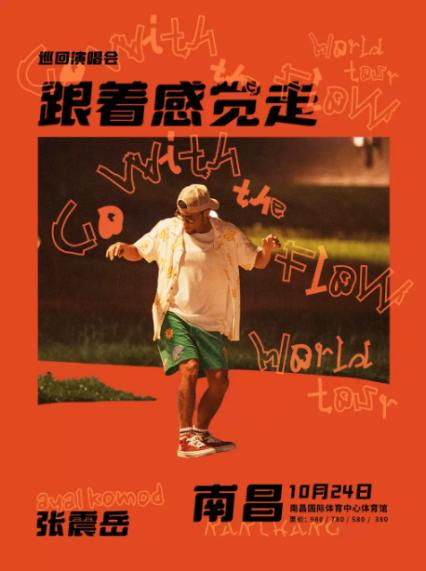 张震岳南昌演唱会
