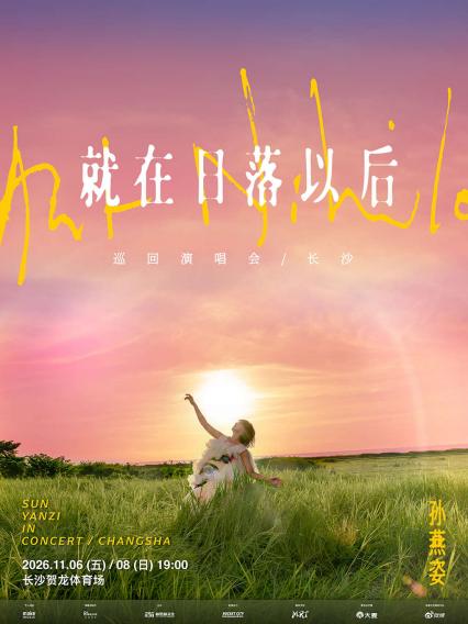 孙燕姿长沙演唱会